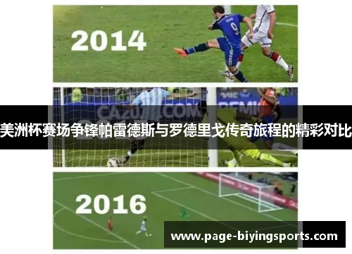 美洲杯赛场争锋帕雷德斯与罗德里戈传奇旅程的精彩对比