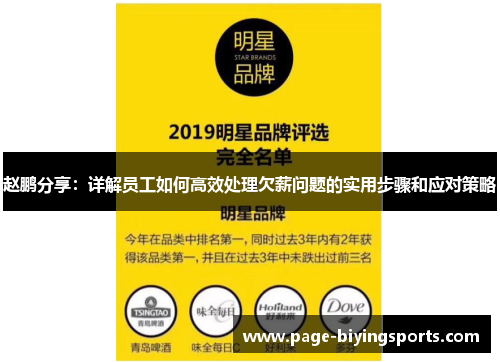 赵鹏分享：详解员工如何高效处理欠薪问题的实用步骤和应对策略